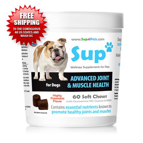 Dog joint best sale and muscle supplement